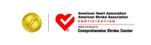 Comprehensive stroke center designation badge